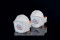 Respiratory protection | uvex silv-Air 5210 premium FFP2 flat-fold mask